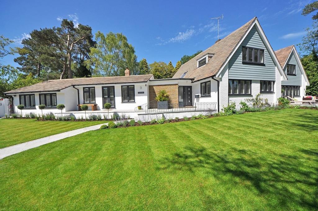 How to Care for Trees and Greenspaces in Your Yard?