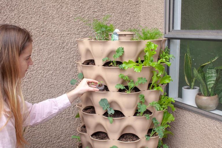 Keeping Your Vertical Plant Tower Thriving: Tips and Tricks for Maintenance