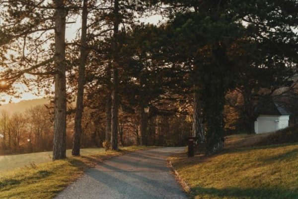 The Role of Fun in Health – Why Play, Relaxation, and Enjoyment Matter