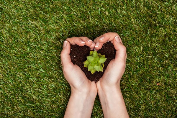 Are Eco-Themed Spaces Boosting Mental Health? Are Eco-Themed Spaces Boosting Mental Health?
