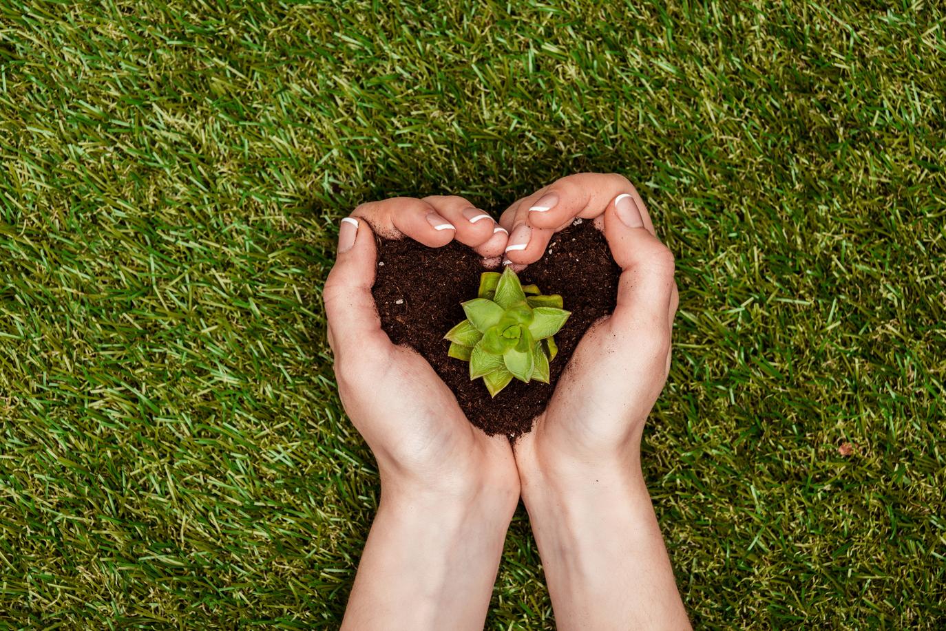 Are Eco-Themed Spaces Boosting Mental Health?