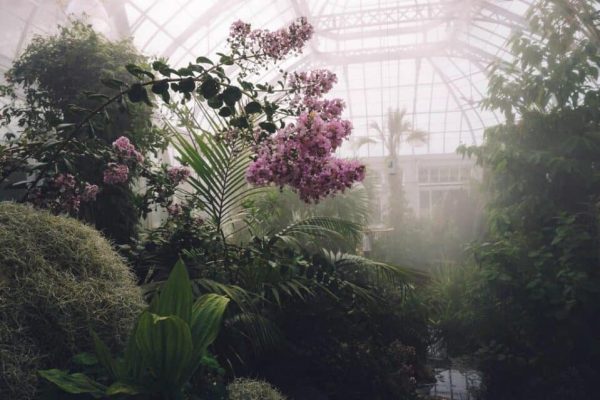 Building a Commercial Greenhouse: Tips for Long-Term Success