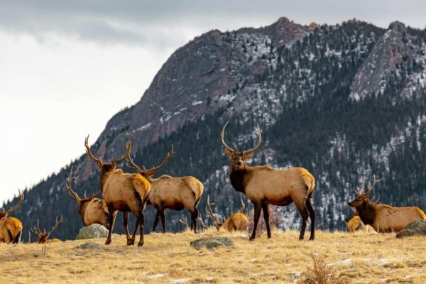 Smart Tech in Outdoor Sports: Enhancing Performance & Sustainability