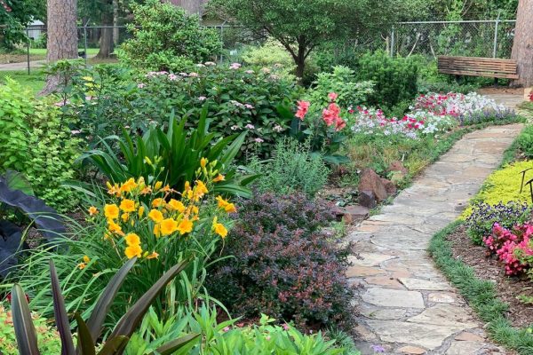 Revolutionizing Your Garden: Innovative Tools and Techniques from British Green Thumb